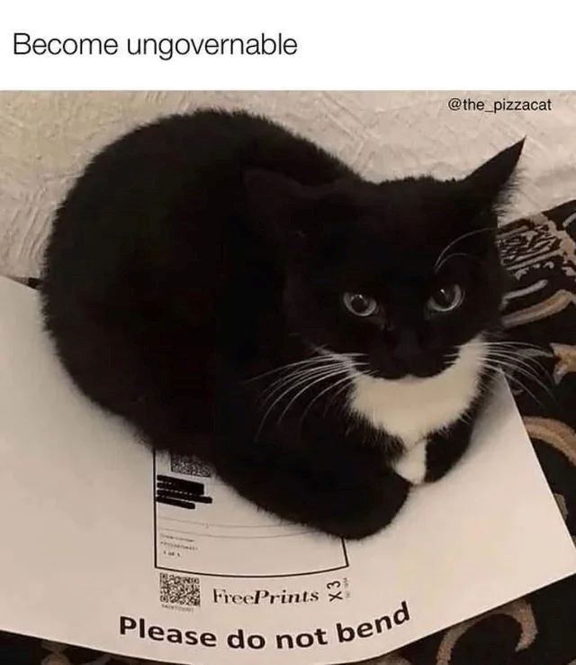 Become ungovernable FreePrints Please do not bend @the_pizzacat