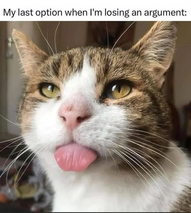 My last option when I'm losing an argument: