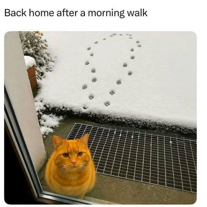 Back home after a morning walk