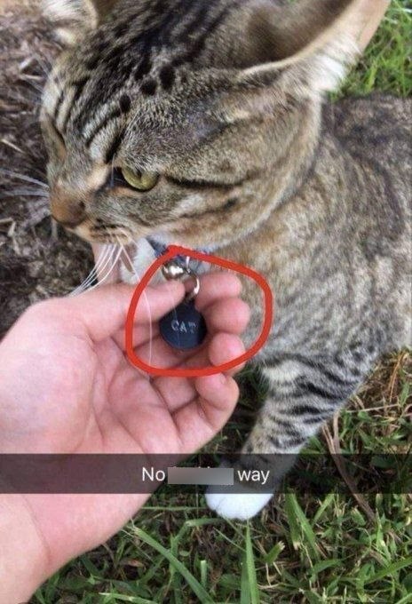 CAT No way