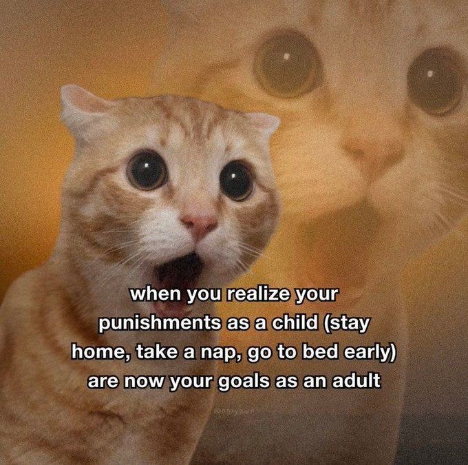 when you realize your punishments as a child (stay home, take a nap, go to bed early) are now your goals as an adult