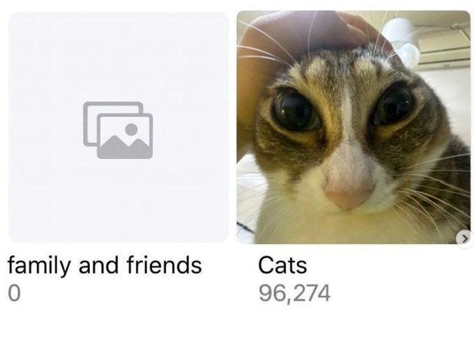 family and friends 0 Cats 96,274