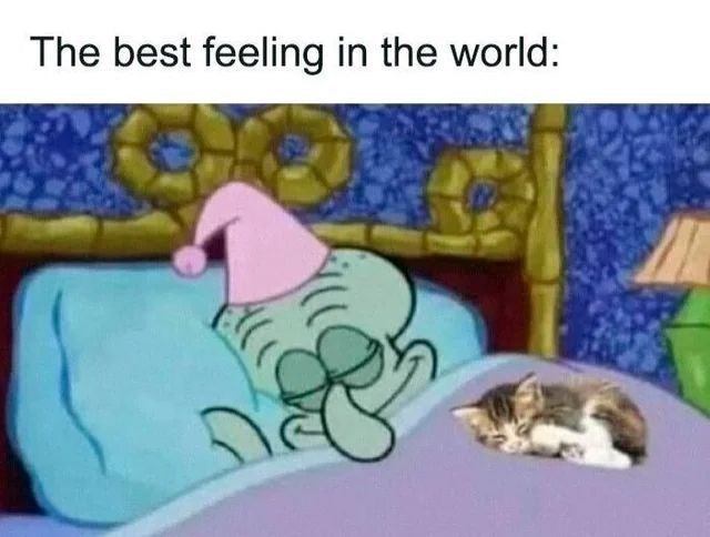 The best feeling in the world: