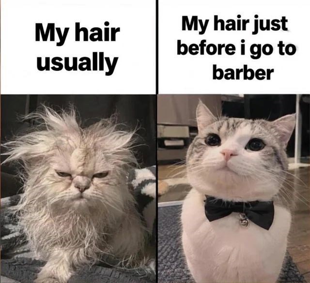 My hair usually My hair just before i go to barber