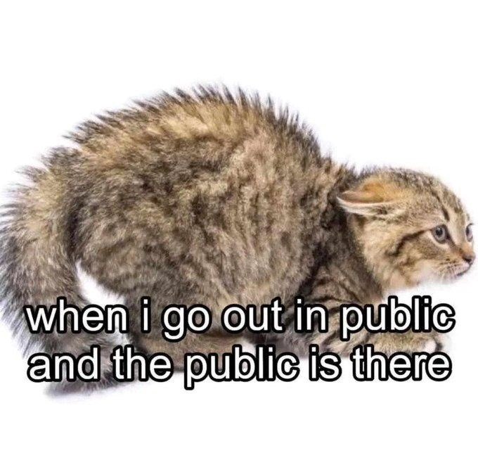 when i go out in public and the public is there