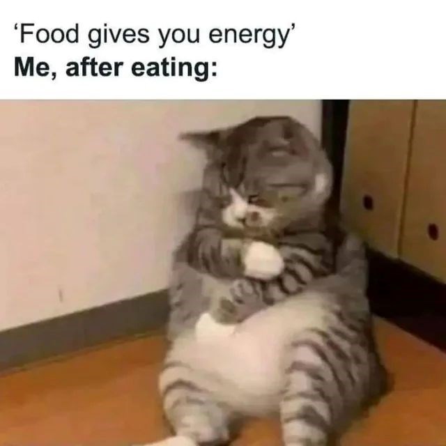 'Food gives you energy' Me, after eating: