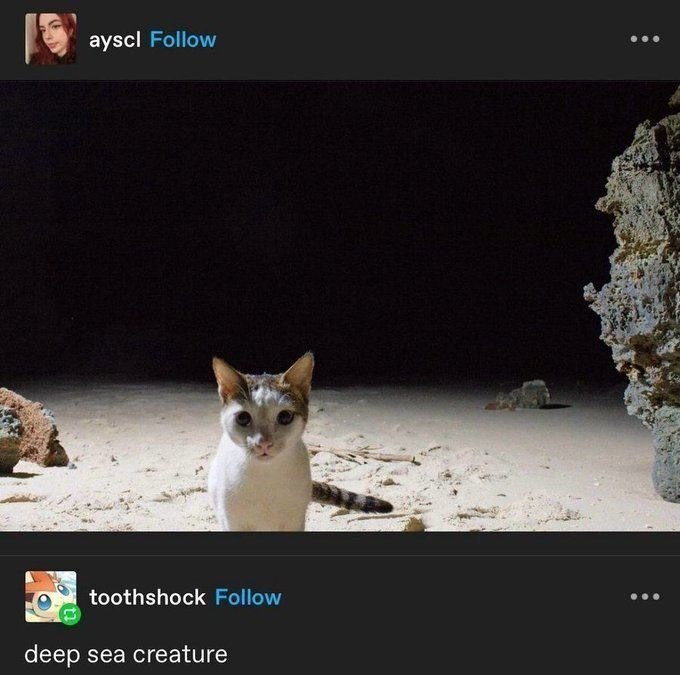 ayscl Follow toothshock Follow deep sea creature