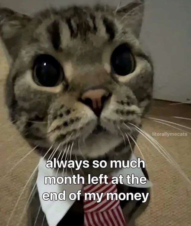 always so much month left at the end of my money literallymecats