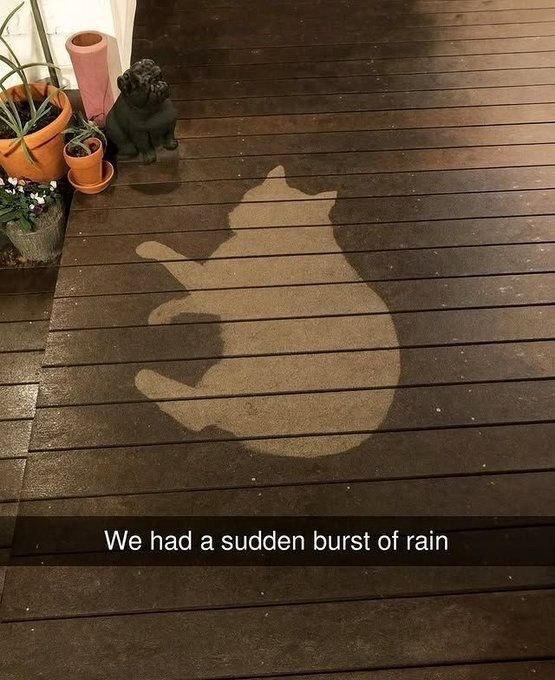 We had a sudden burst of rain