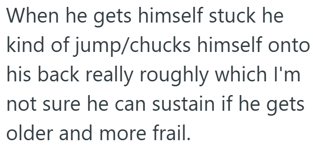 When he gets himself stuck he kind of jump/chucks himself onto his back really roughly which I'm not sure he can sustain if he gets older and more frail.