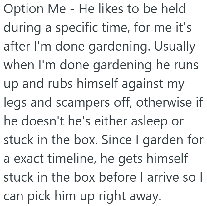 Option Me - He likes to be held during a specific time, for me it's after I'm done gardening. Usually when I'm done gardening he runs up and rubs himself against my legs and scampers off, otherwise if he doesn't he's either asleep or stuck in the box. Since I garden for a exact timeline, he gets himself stuck in the box before I arrive so I can pick him up right away.