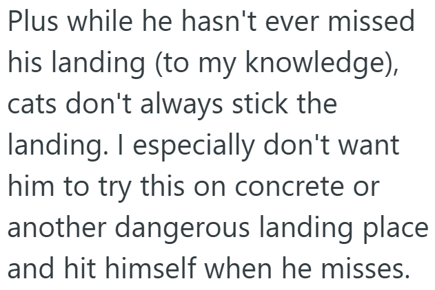 Plus while he hasn't ever missed his landing (to my knowledge), cats don't always stick the landing. I especially don't want him to try this on concrete or another dangerous landing place and hit himself when he misses.