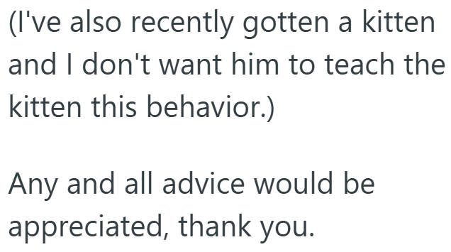 (I've also recently gotten a kitten and I don't want him to teach the kitten this behavior.) Any and all advice would be appreciated, thank you.