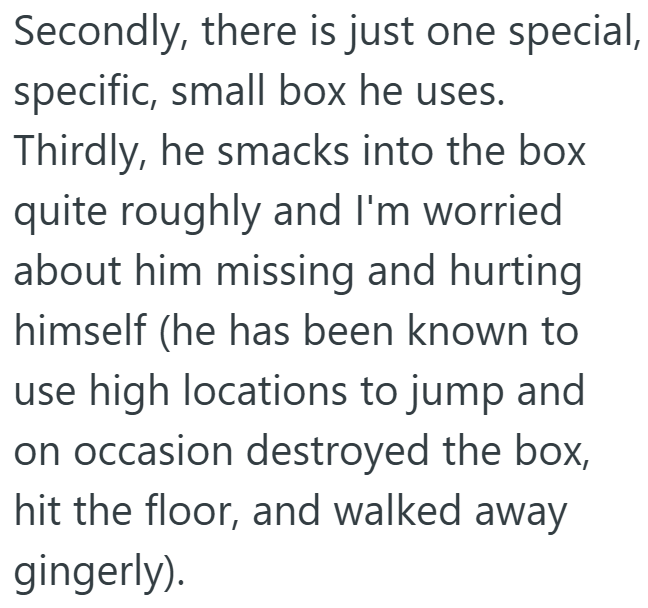 Secondly, there is just one special, specific, small box he uses. Thirdly, he smacks into the box quite roughly and I'm worried about him missing and hurting himself (he has been known to use high locations to jump and on occasion destroyed the box, hit the floor, and walked away gingerly).