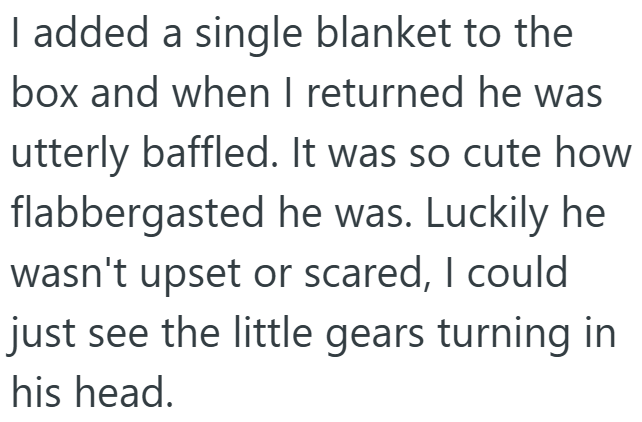 I added a single blanket to the box and when I returned he was utterly baffled. It was so cute how flabbergasted he was. Luckily he wasn't upset or scared, I could just see the little gears turning in his head.