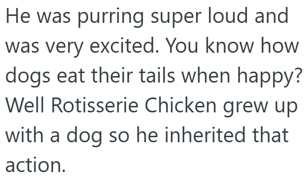 He was purring super loud and was very excited. You know how dogs eat their tails when happy? Well Rotisserie Chicken grew up with a dog so he inherited that action.