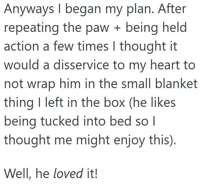 Anyways I began my plan. After repeating the paw + being held action a few times I thought it would a disservice to my heart to not wrap him in the small blanket thing I left in the box (he likes being tucked into bed so I thought me might enjoy this). Well, he loved it!