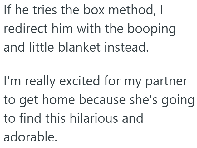 If he tries the box method, I redirect him with the booping and little blanket instead. I'm really excited for my partner to get home because she's going to find this hilarious and adorable.