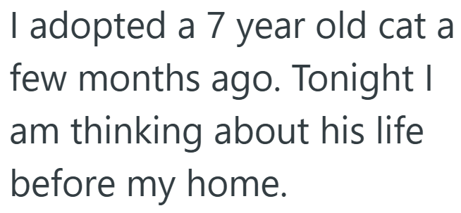 I adopted a 7 year old cat a few months ago. Tonight I am thinking about his life before my home.