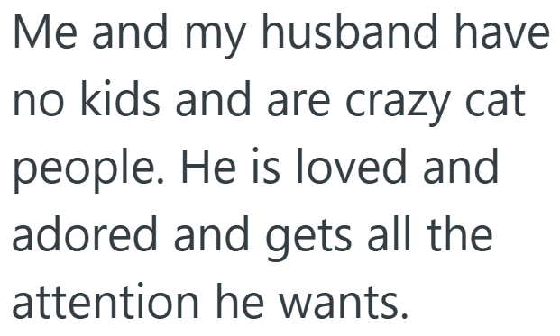 Me and my husband have no kids and are crazy cat people. He is loved and adored and gets all the attention he wants.