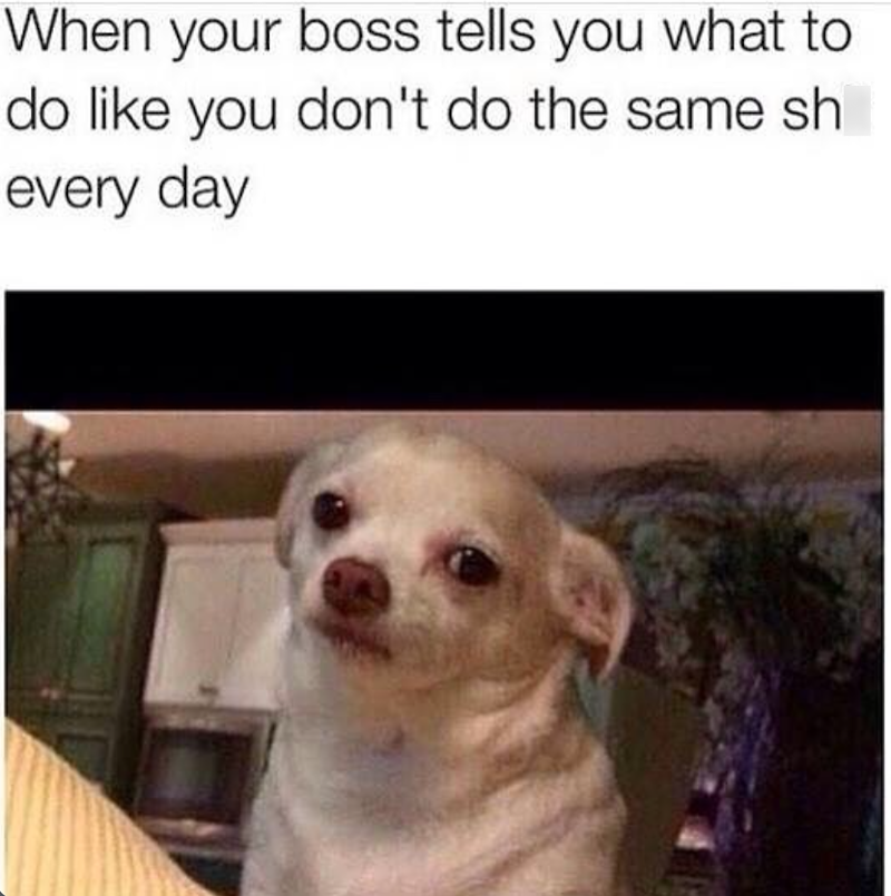 When your boss tells you what to do like you don't do the same sh every day