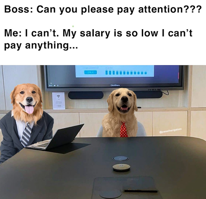 Boss: Can you please pay attention??? Me: I can't. My salary is so low I can't pay anything... 289 276 C ClickShare @passtherigatoni