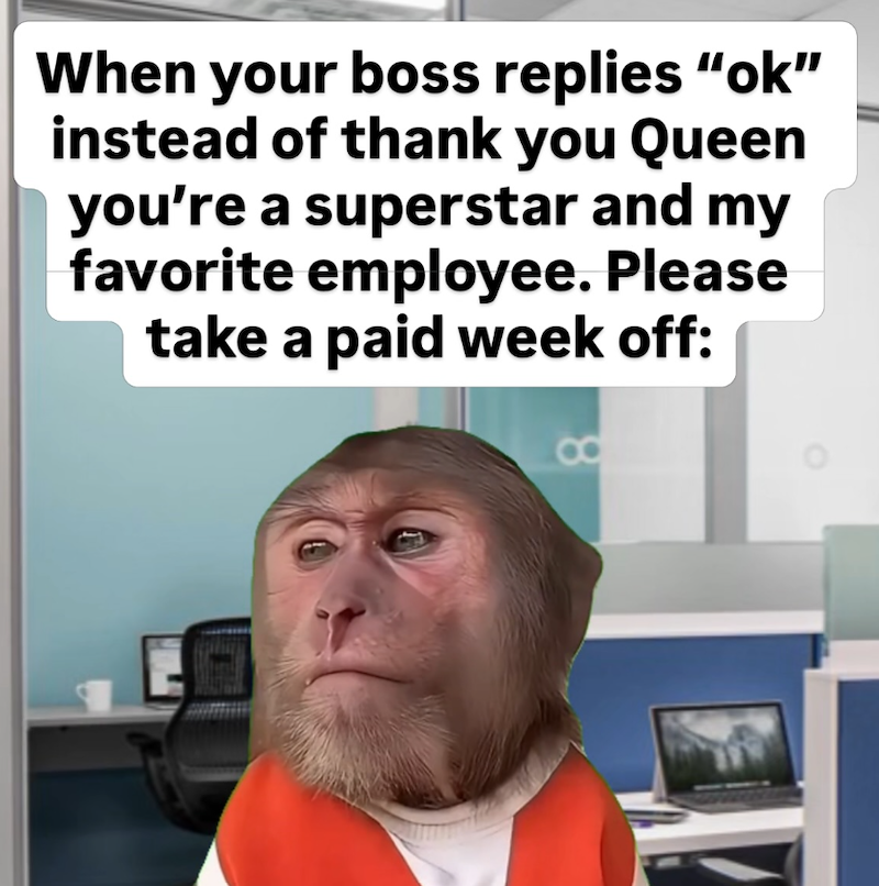 When your boss replies "ok" instead of thank you Queen you're a superstar and my favorite employee. Please take a paid week off: 8