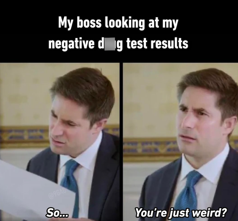 @9GAG My boss looking at my negative dog test results So... You're just weird?