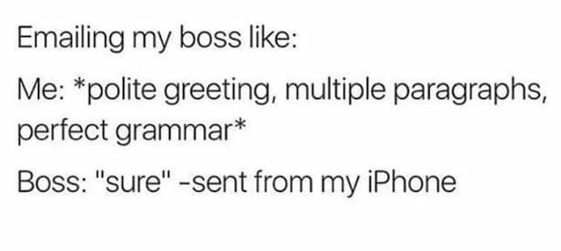 Emailing my boss like: Me: *polite greeting, multiple paragraphs, perfect grammar* Boss: "sure"-sent from my iPhone