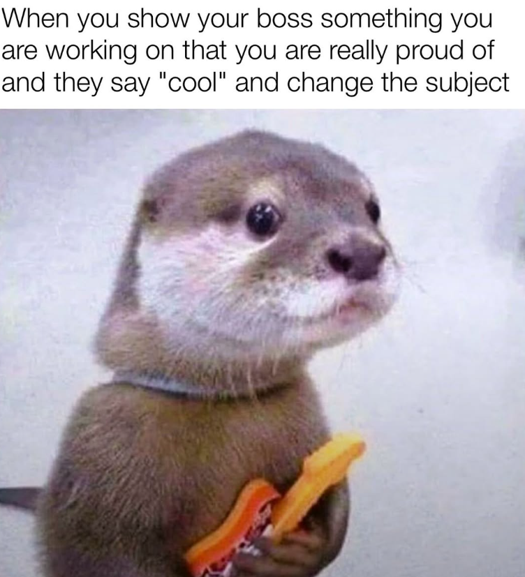 When you show your boss something you are working on that you are really proud of and they say "cool" and change the subject