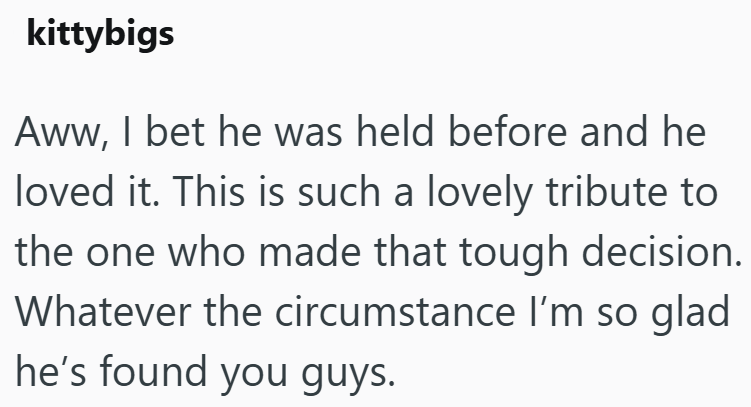 kittybigs Aww, I bet he was held before and he loved it. This is such a lovely tribute to the one who made that tough decision. Whatever the circumstance I'm so glad he's found you guys.
