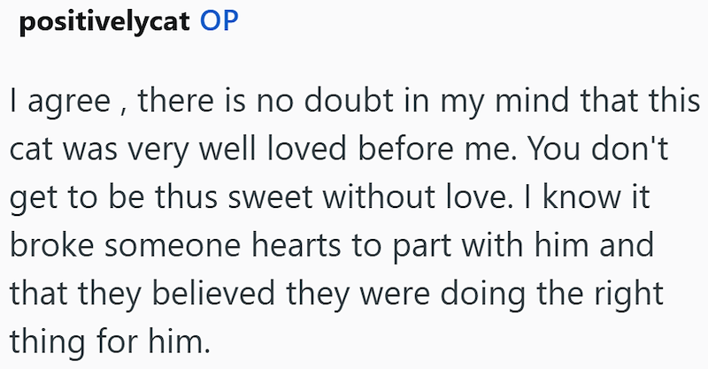positivelycat OP I agree, there is no doubt in my mind that this cat was very well loved before me. You don't get to be thus sweet without love. I know it broke someone hearts to part with him and that they believed they were doing the right thing for him.