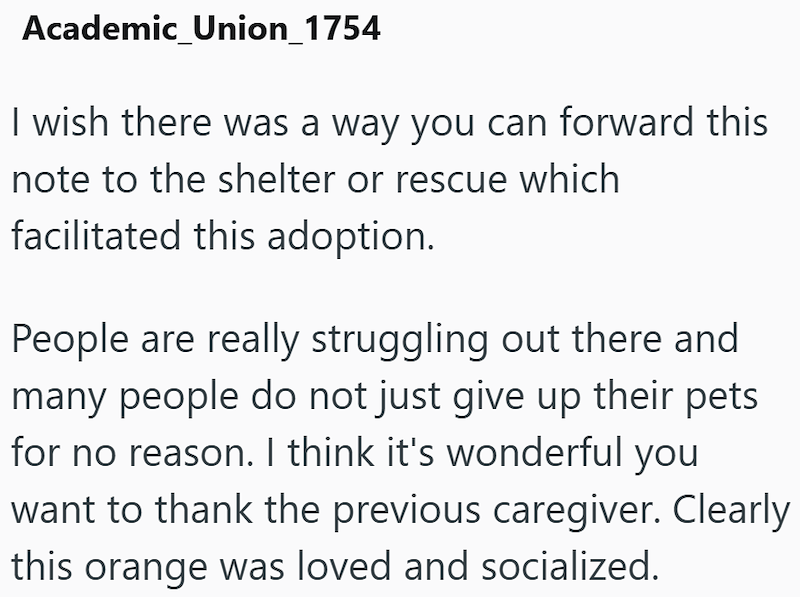Academic_Union_1754 I wish there was a way you can forward this note to the shelter or rescue which facilitated this adoption. People are really struggling out there and many people do not just give up their pets for no reason. I think it's wonderful you want to thank the previous caregiver. Clearly this orange was loved and socialized.