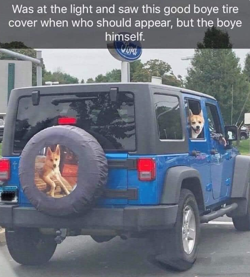 Was at the light and saw this good boye tire cover when who should appear, but the boye himself.