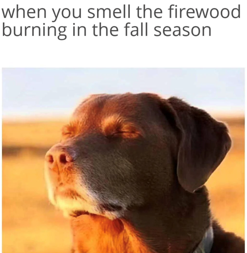 when you smell the firewood burning in the fall season