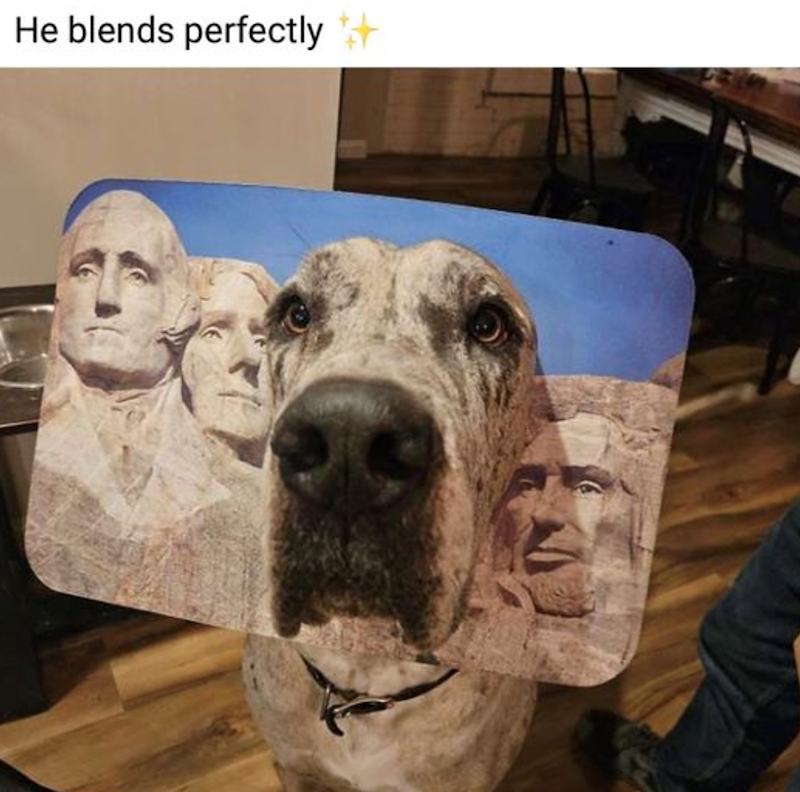 He blends perfectly +