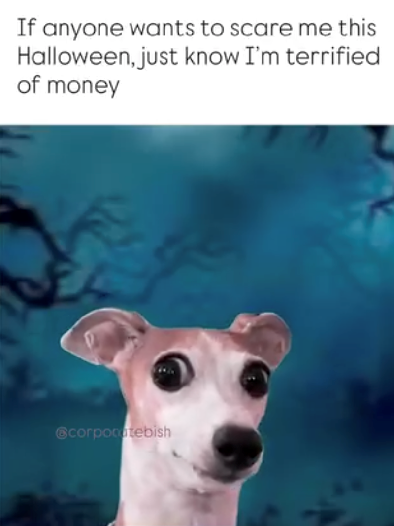 If anyone wants to scare me this Halloween, just know I'm terrified of money corponutebish