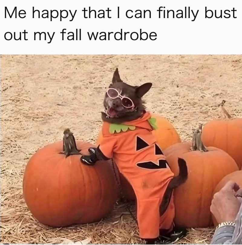 Me happy that I can finally bust out my fall wardrobe