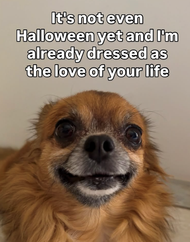 It's not even Halloween yet and I'm already dressed as the love of your life