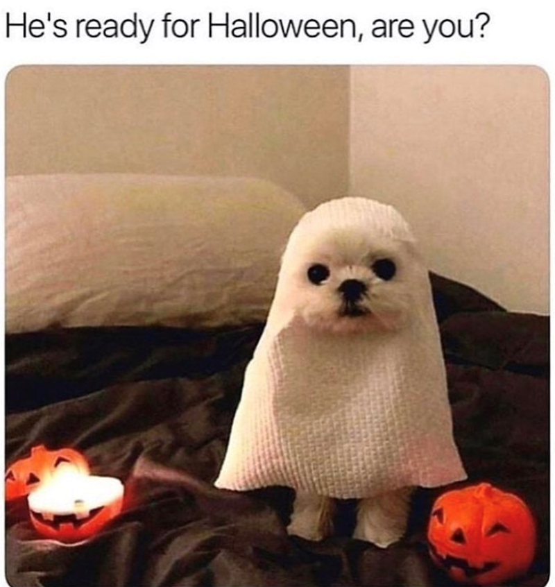 He's ready for Halloween, are you?