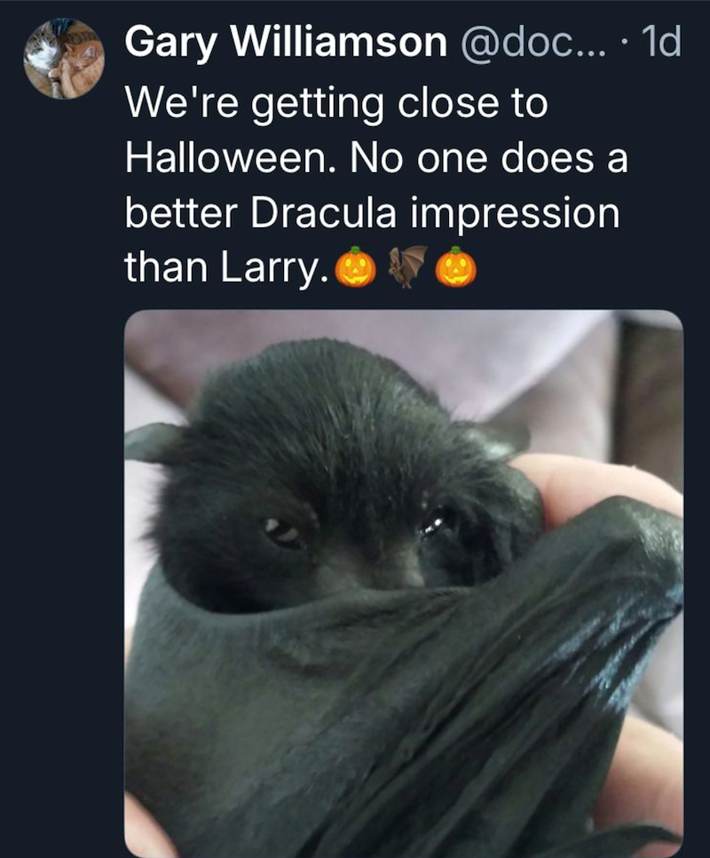 Gary Williamson @doc.... 1d We're getting close to Halloween. No one does a better Dracula impression than Larry.
