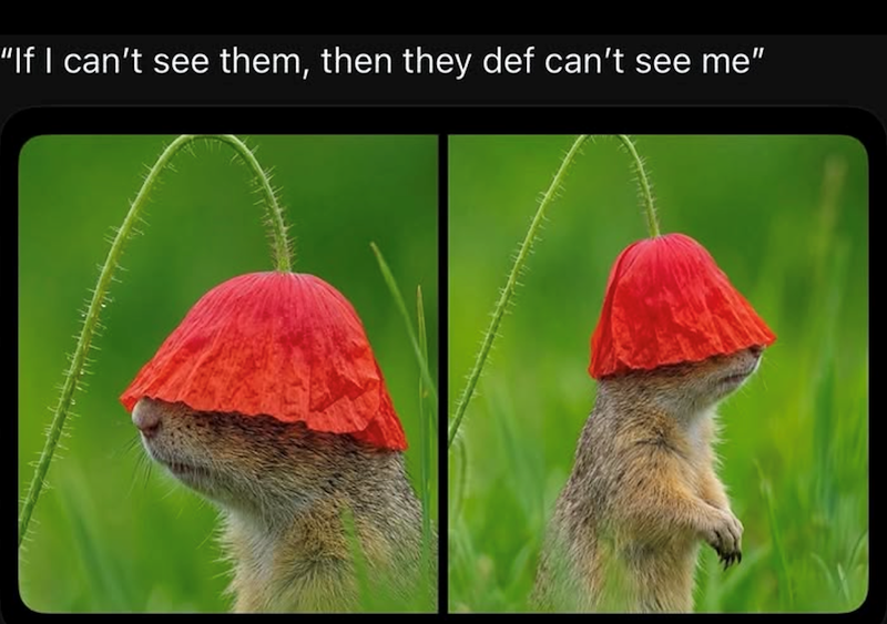 "If I can't see them, then they def can't see me"