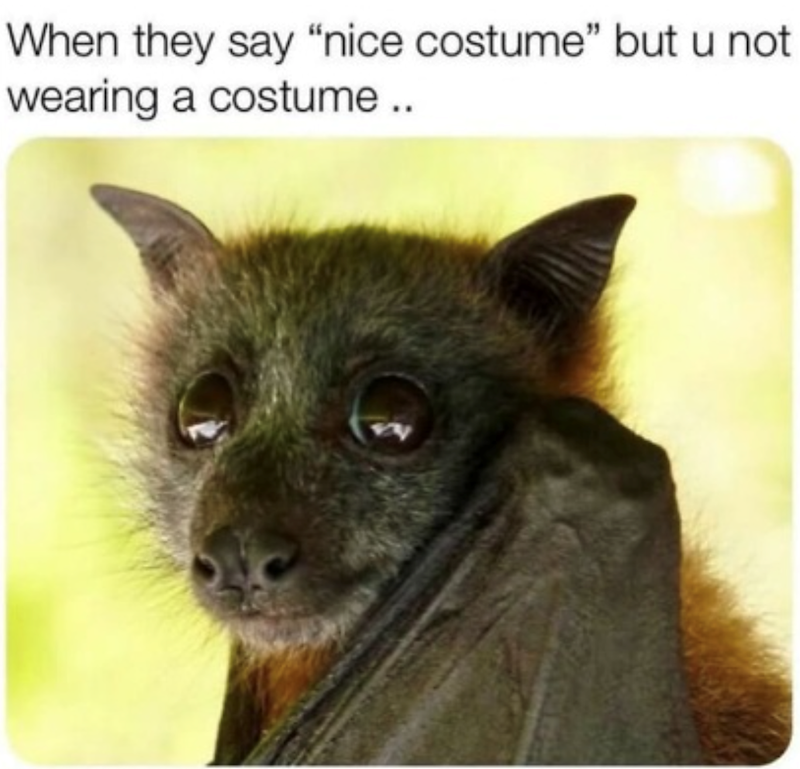 When they say "nice costume" but u not wearing a costume..