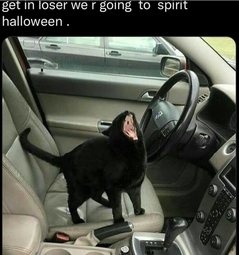 get in loser we r going to spirit halloween. גון