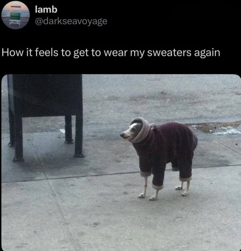 Cheezburger Image 10671762176