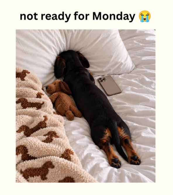not ready for Monday