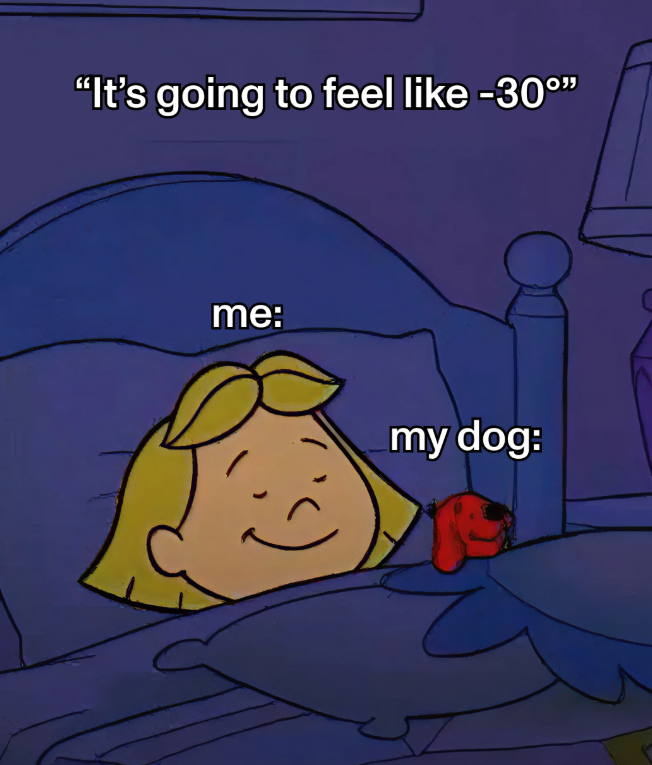 "It's going to feel like -30°" me: my dog: