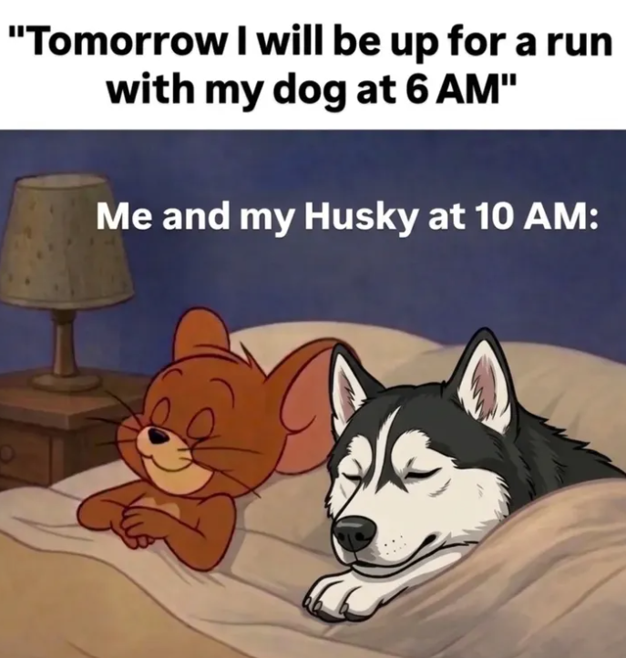 "Tomorrow I will be up for a run with my dog at 6 AM" Me and my Husky at 10 AM: