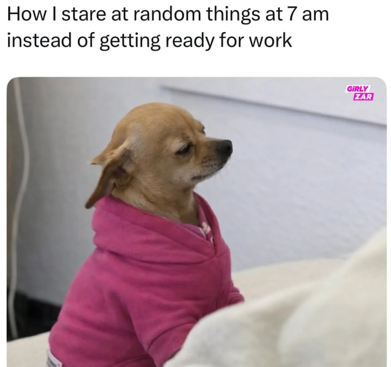 How I stare at random things at 7 am instead of getting ready for work GIRLY ZAR