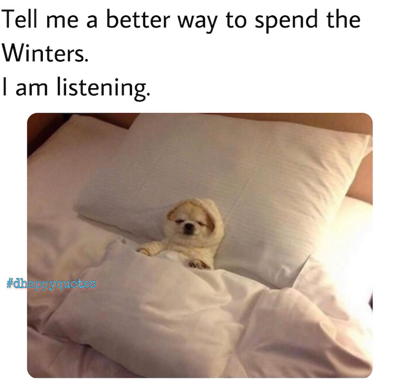 Tell me a better way to spend the Winters. I am listening. #dhappyquotes